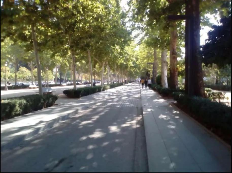 Apartament Hogar Del Lirio *